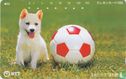Dog with Football - Image 1