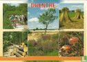 Drenthe