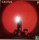 Cactus - Image 1