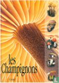 Les Champignons - Afbeelding 1