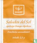 Saludos del Sol
