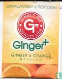 Ginger & Orange - Image 1