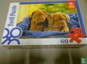 Dogs de bordeaux - Image 1