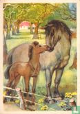 Paard met veulen in boomgaard - Bild 1
