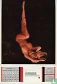 Playboy Plamate Calender 1973 - Image 3