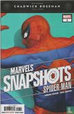 Marvels Snapshots: Spider-Man 1 - Image 1