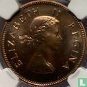 Afrique du Sud ½ penny 1954 - Image 2