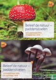 Experience nature - Mushrooms - Image 1
