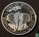 Somalië 100 shillings 2021 (zilver - kleurloos) "Elephant" - Afbeelding 2