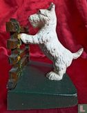West highland white terrier - Image 1
