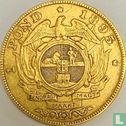 Zuid-Afrika 1 pond 1895 - Afbeelding 1