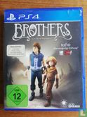 Brothers: A Tale of Two Sons - Afbeelding 1