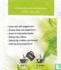 Green Tea mint  - Afbeelding 2