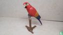 Scarlet Macaw - Image 1