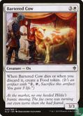 Bartered Cow - Image 1