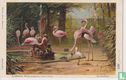 Natura Artis Magistra/Flamingo - Image 1