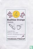  4 Bushtea Orange - Image 1