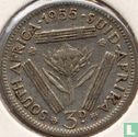Afrique du Sud 3 pence 1955 - Image 1