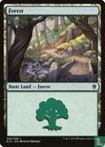 Forest - Afbeelding 1