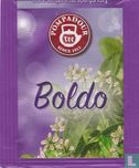 Boldo   - Afbeelding 1