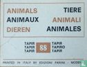 Tapir - Tapiro - Image 2