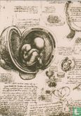 Anatomical Study (facsimile), 1508-1510 - Afbeelding 1