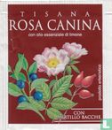 Rosa Canina - Afbeelding 1