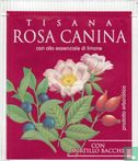 Rosa Canina  - Image 1