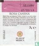 Rosa Canina  - Afbeelding 2
