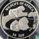 Djibouti 50 francs 1997 (BE) "Lions" - Image 2