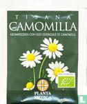 Camomilla