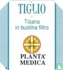 Tiglio - Afbeelding 3