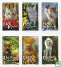 Chiens et chats - Image 1