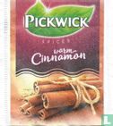 warm Cinnamon   - Image 1