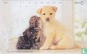 Cat and Dog - Image 1