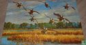 Acht vogels vliegen boven moeras - Bild 3