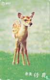 Nara - Deer Fawn - Image 1
