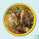 Tigres - Image 1