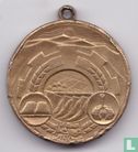 Syria Medallic Issue (ND) 1981 (The 18th Anniversary of the 8 March Revolution) - Afbeelding 1