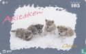 "Akitaken - Odate" (Akita Puppies) - Bild 1