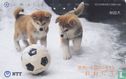 Odate - Akita Dogs With Football - Image 1