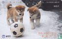 Odate - Akita Dogs With Football - Afbeelding 1