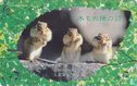 Three Chipmunks "Singing" in Tree - Image 1