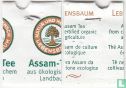 Assam-Tee  - Bild 3