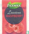 Luscious Raspberry     - Bild 1