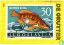 Jugoslavië - vis - Image 1