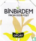 BinBirdem - Image 3