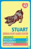 Stuart - German Short Haired Pointer - Afbeelding 1