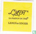 Lemon & Ginger - Image 3