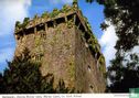 Blarney Castle  - Image 1